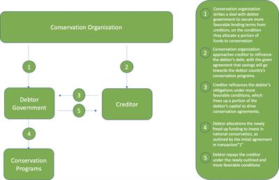 Financing marine conservation from restructured debt: a case study of the Seychelles